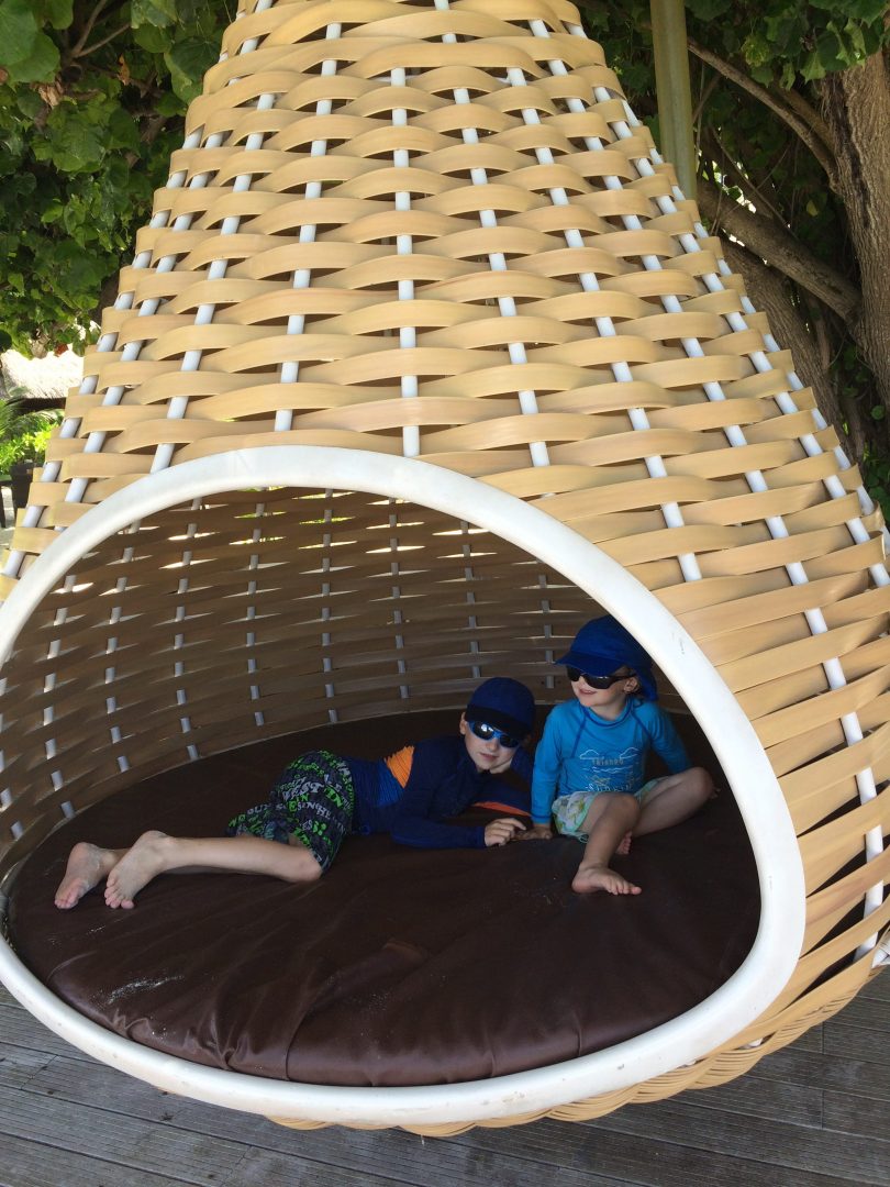 Robin et Clément dans un nid de marsupilami