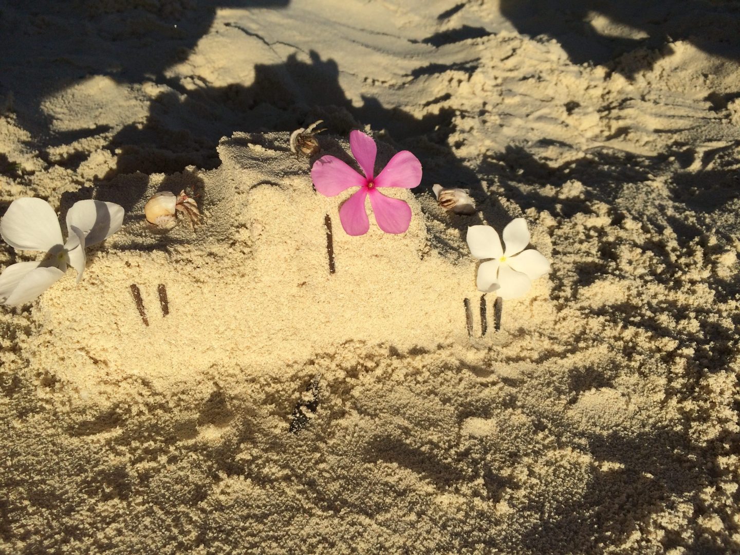 Le podium après la course