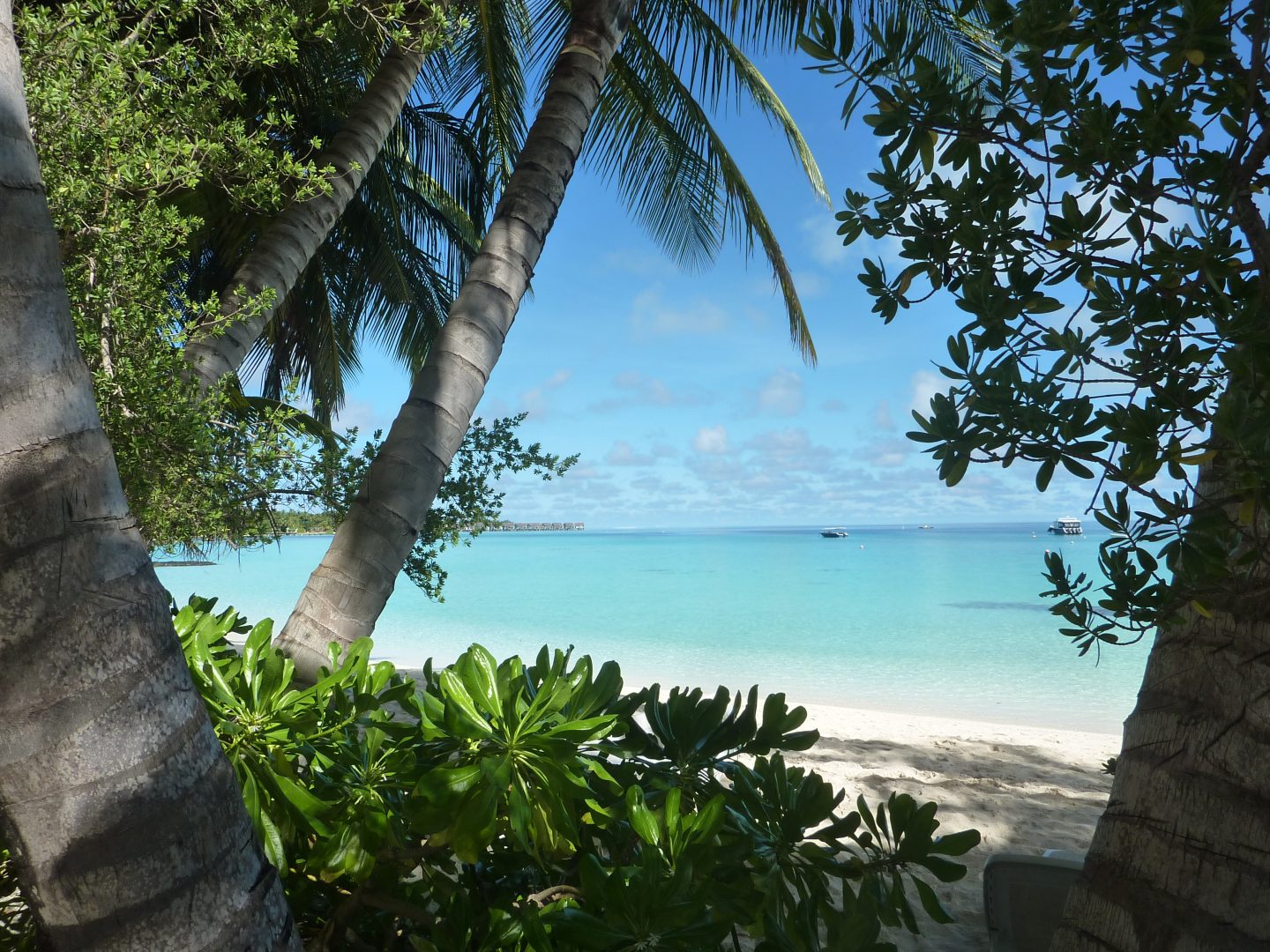 Superbe le côté lagon