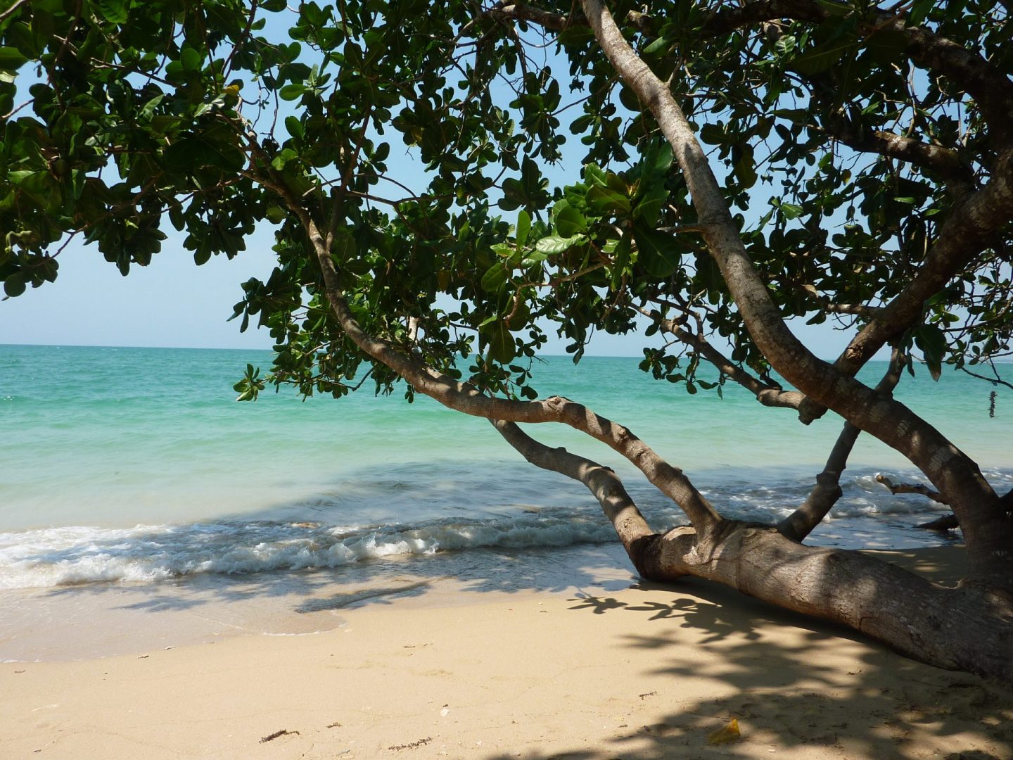 La limite droite de notre camp à White Sand Beach