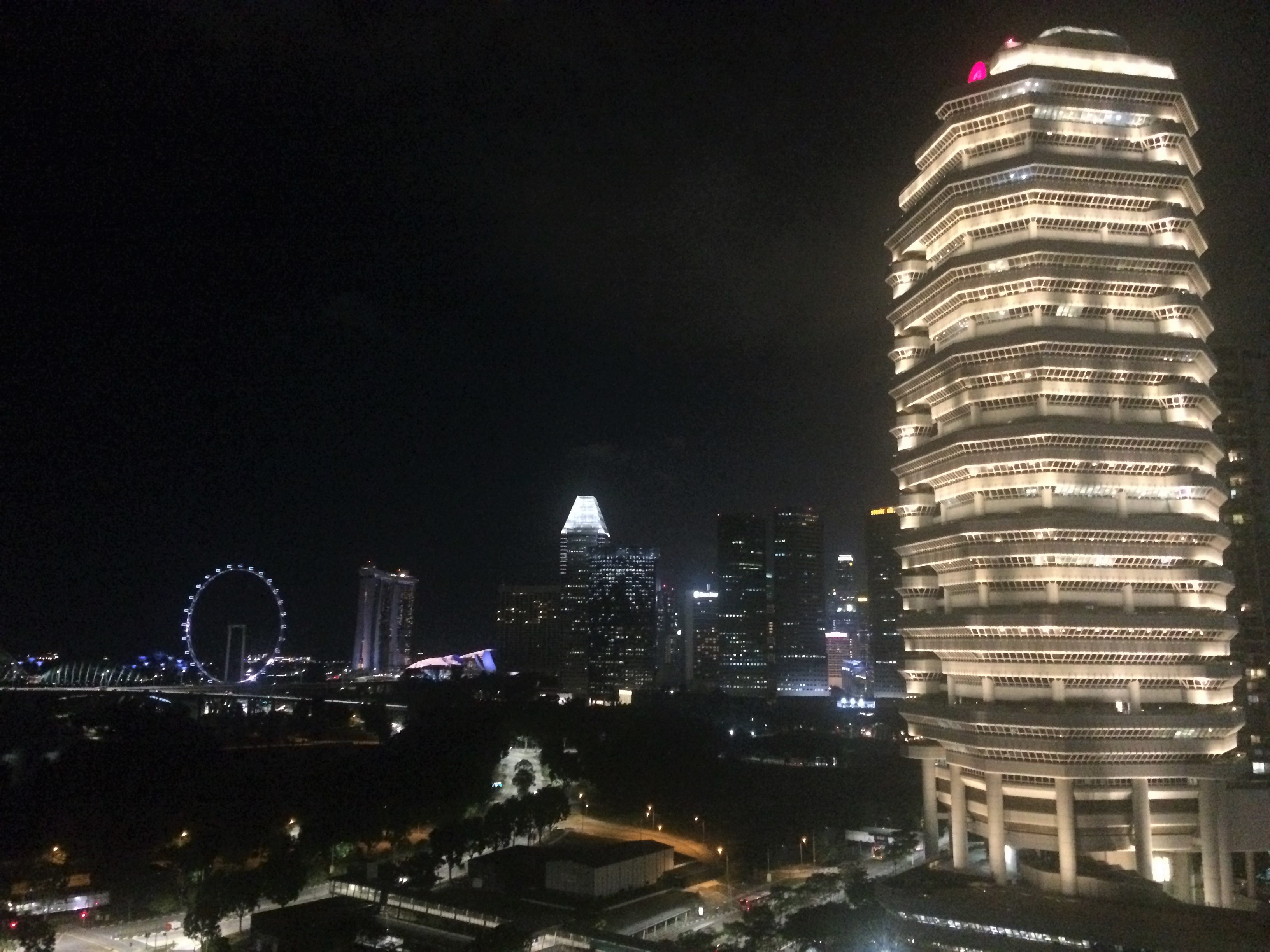 Vue depuis la piscine sur le toit de notre hôtel, à gauche de la grande roue, les serres de Gardens by the Bay et à droite le Marina Bay