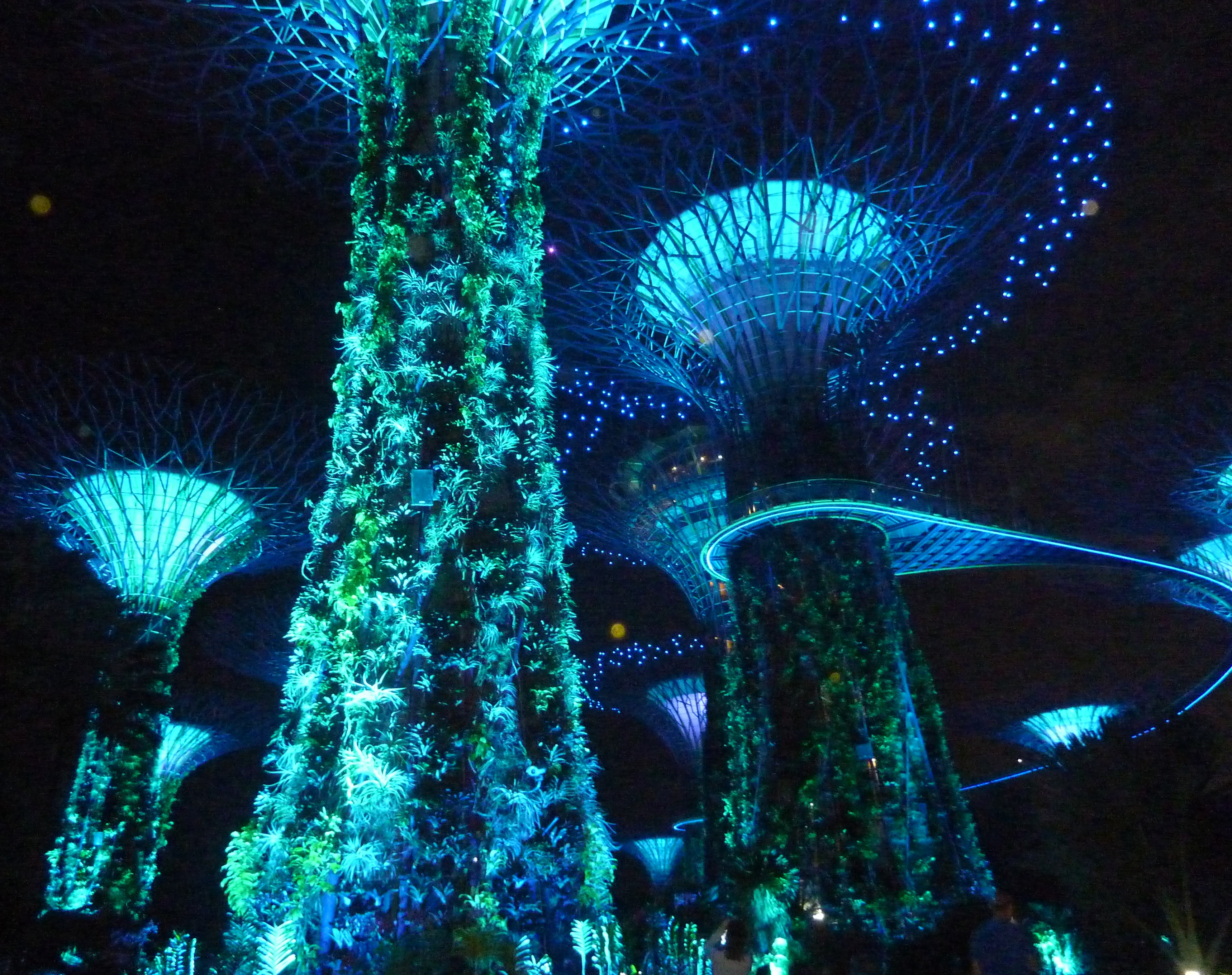 Show lumineux de Gardens by the Bay