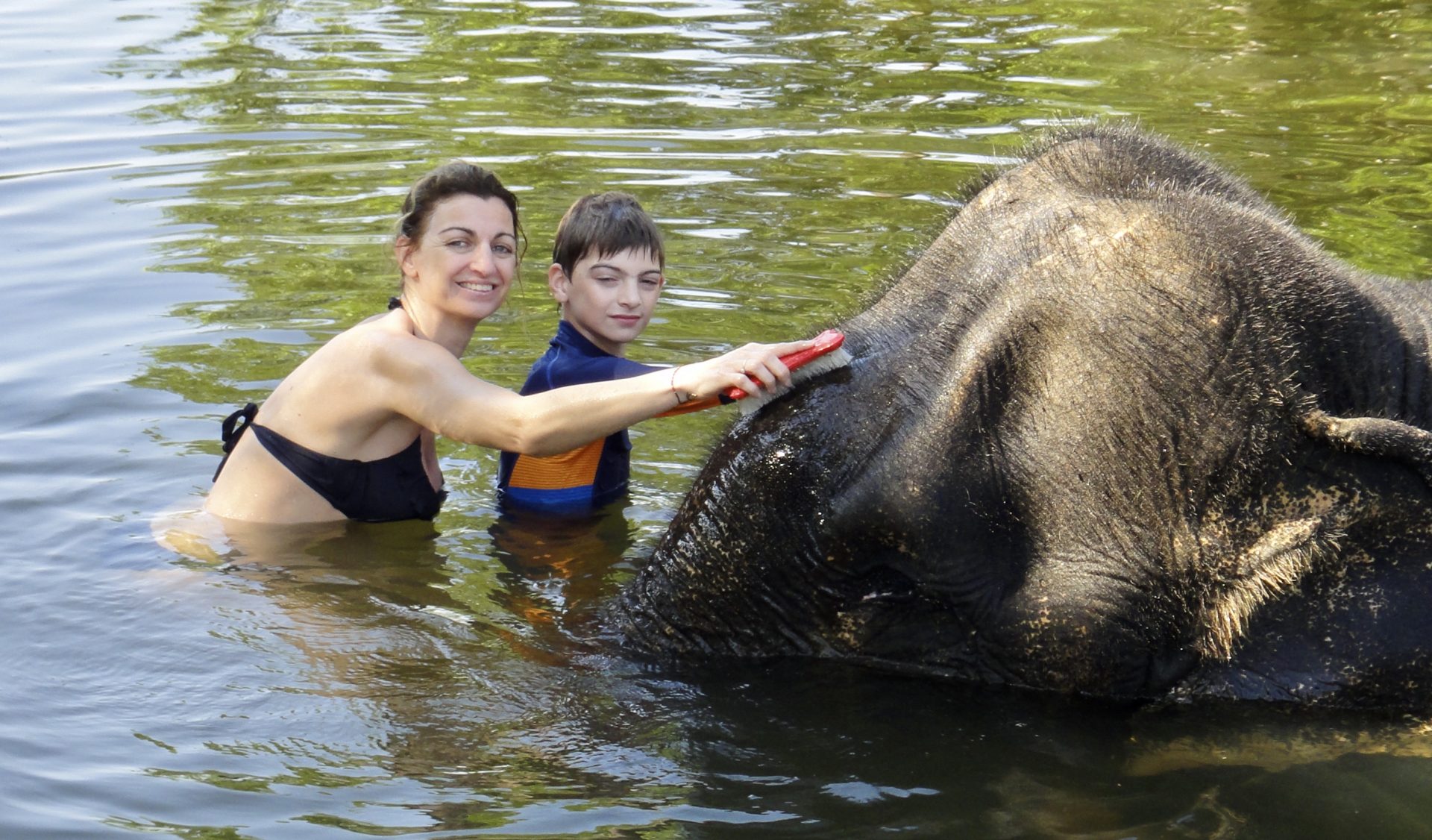 Clément et Caro brossent avec ardeur leur éléphant