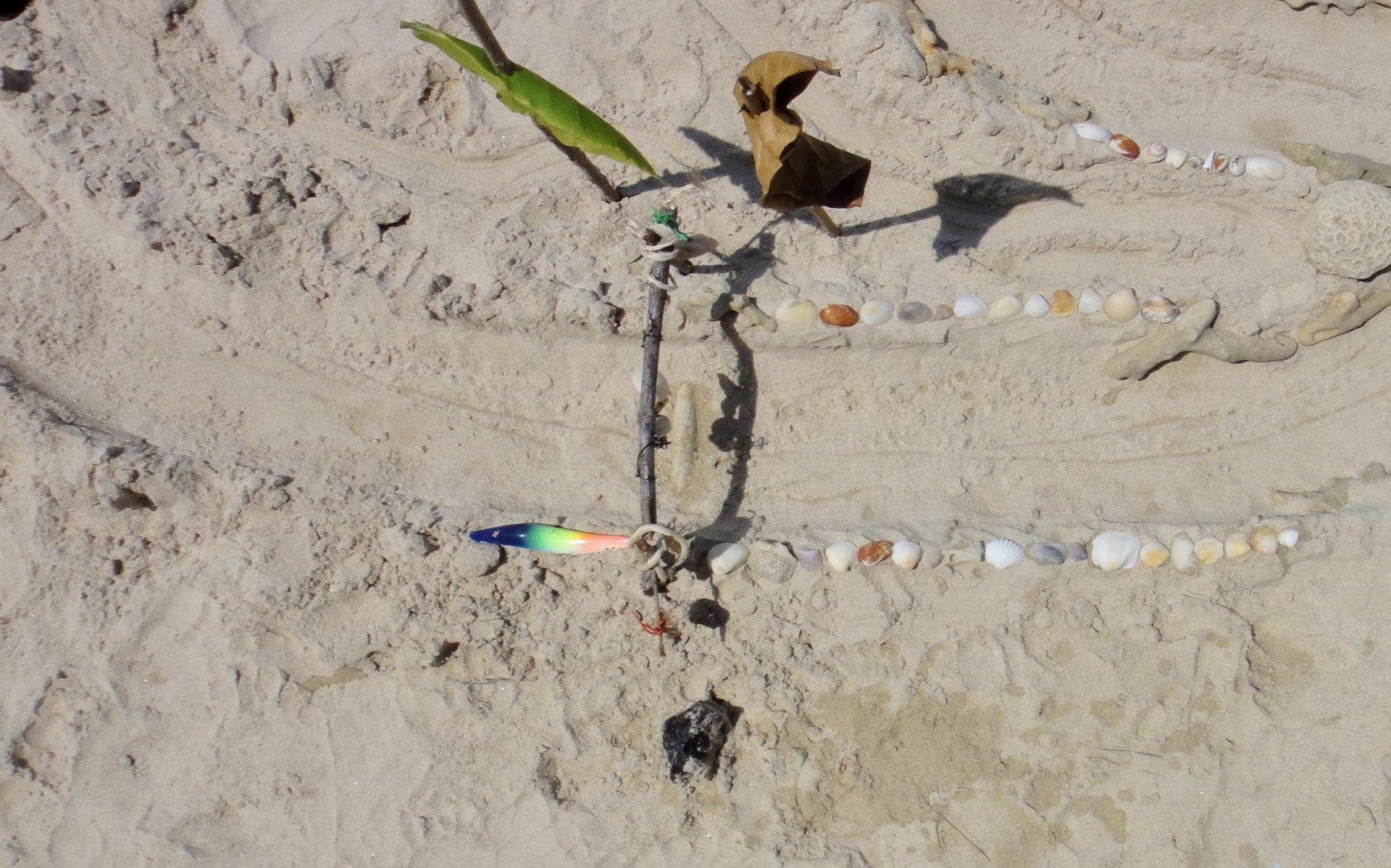 La ligne d'arrivée du circuit en vue aérienne