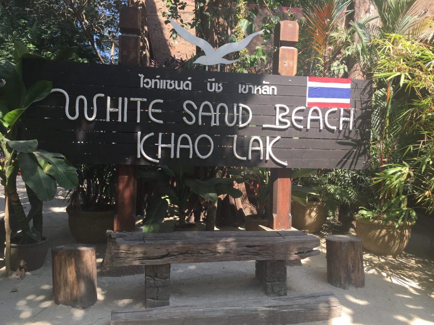 Arrivée à Coconuts Beach (on va prendre à gauche sur la plage)