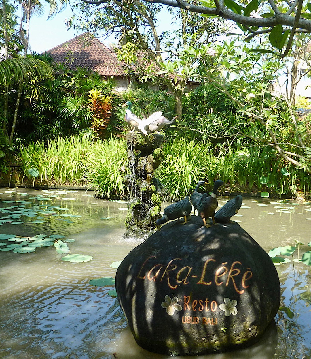 De l’eau et des canards comme souvent à Ubud