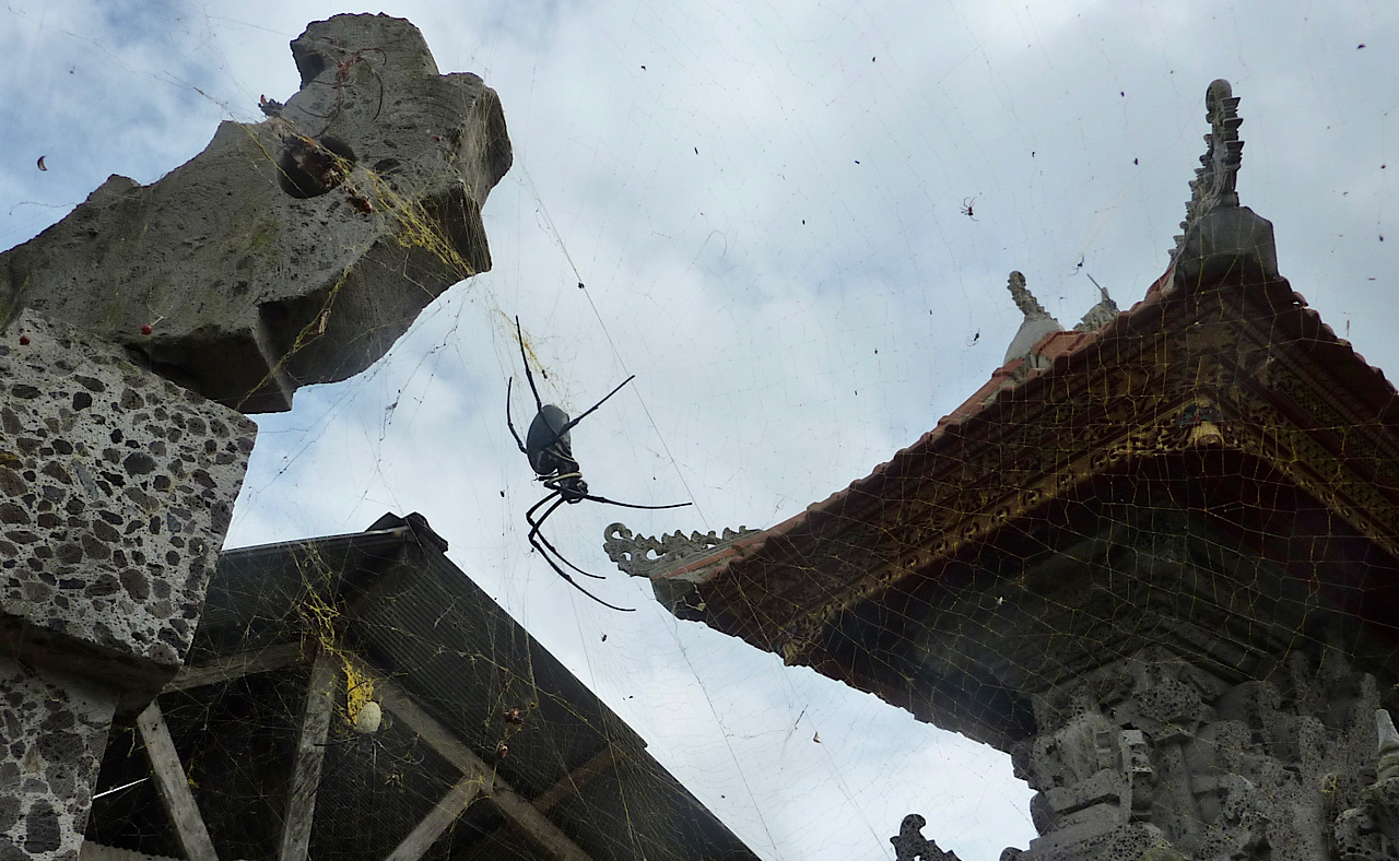Le temple envahit par les araignées