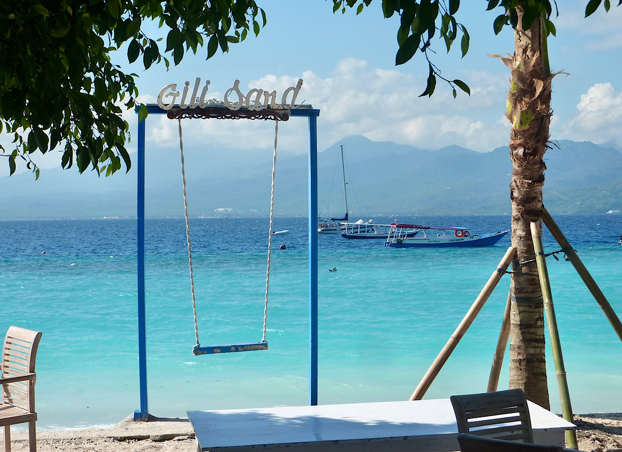 Plantation d’une série de cocotiers (à droite de la photo) sur le bord de la mer, se sera un joli coin 👍