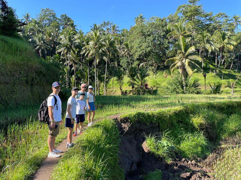 Dans les rizières à Tegalagang