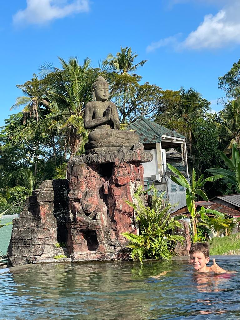 Le coin de la piscine apprécié par les singes