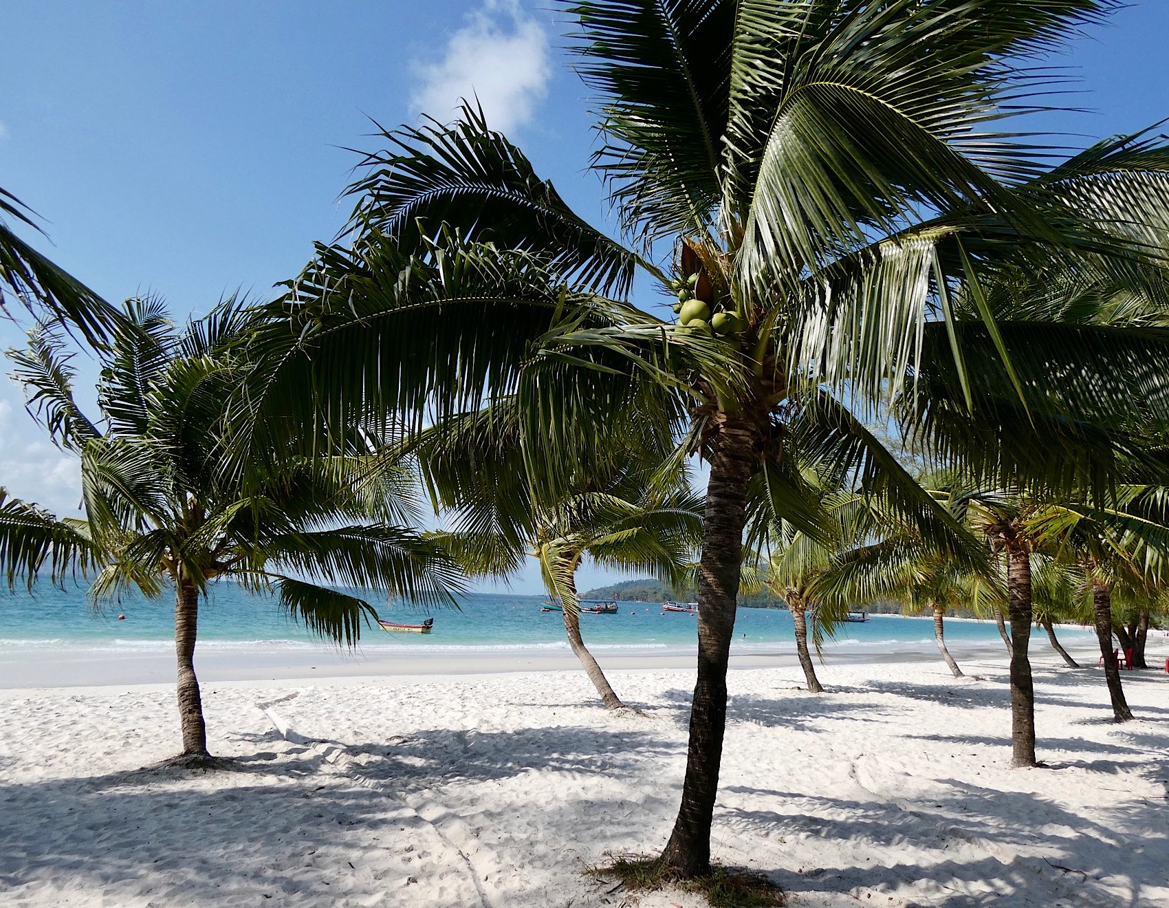 Sable blanc et eau turquoise plus le vert des cocotiers