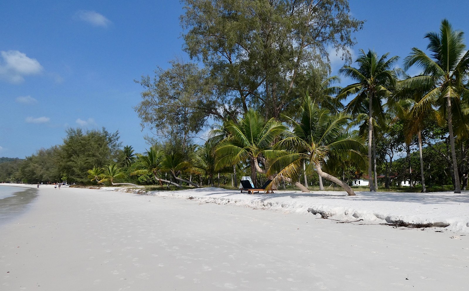 Cocotiers et sable blanc à Koh Rong
