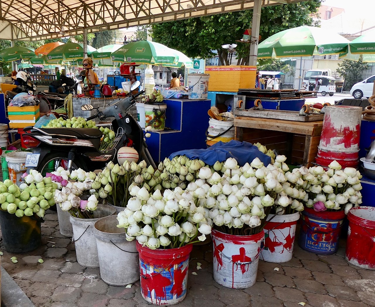 Un stand de vendeuse de lotus