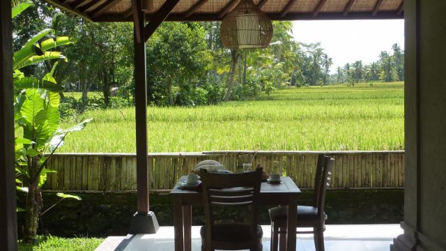 Villa 2 La table du petit-déjeuner