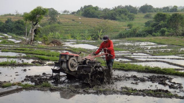 Un engin avec de drôles de roues pour labourer les rizières