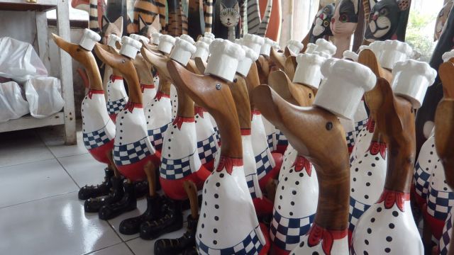 Une armée de canards en toque blanche et une variété de chats