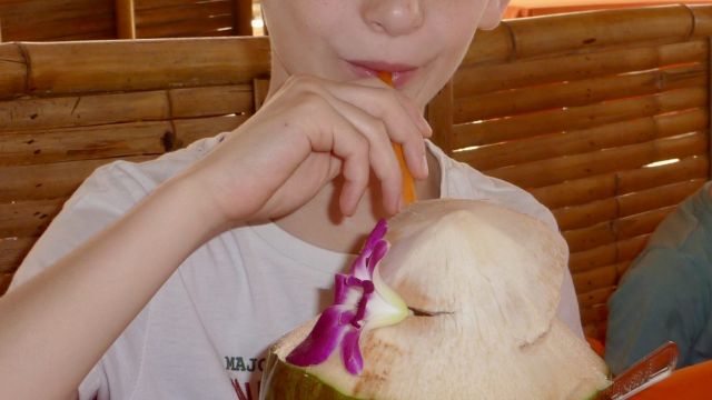Noix de Coco fraîche pour Clément et Caro