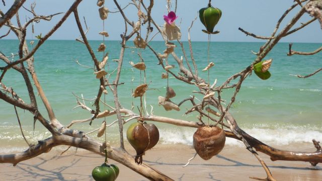Notre Totem familial qui marque l’entrée de notre camp sur White Sand Beach