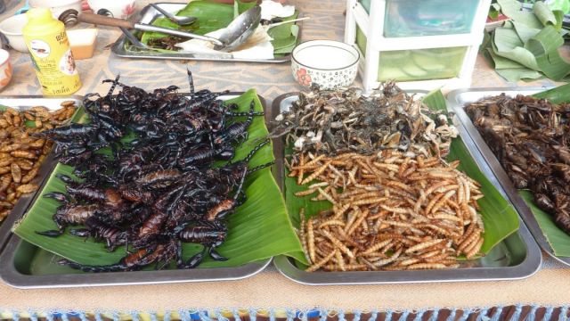 Bang Niang Night Market scorpions grillés